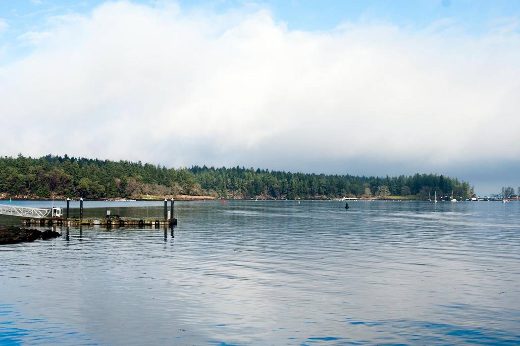 Snuneymuxw First Nations’ Petroglyph Development Group reveals bold new vision for Nanaimo’s Saysutshun – Newcastle Island